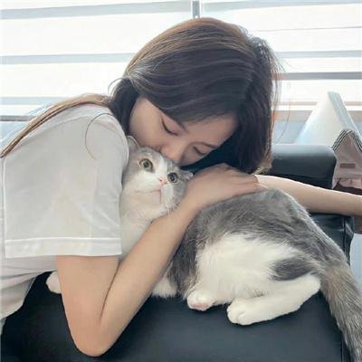 爱在猫咪疗愈时